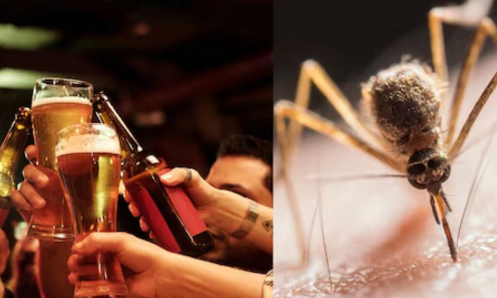 Mosquitoes-and-Alcohol