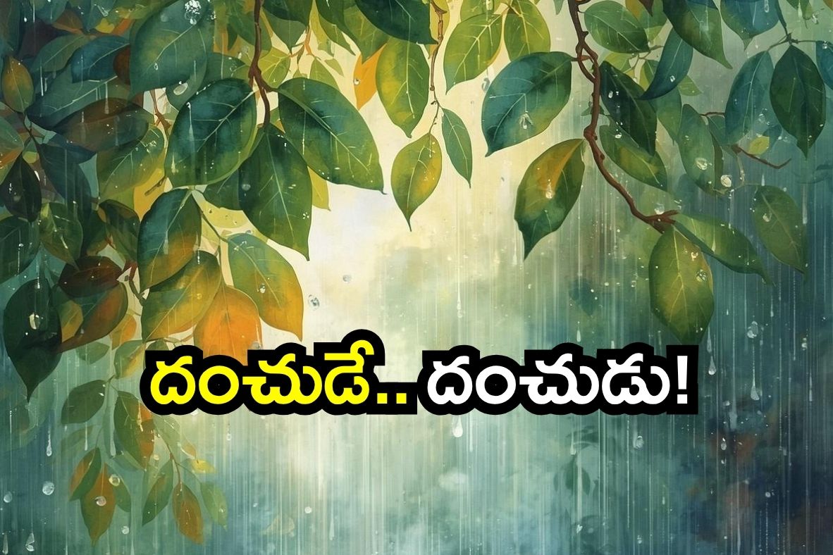 AP rain alert lightning districts warning