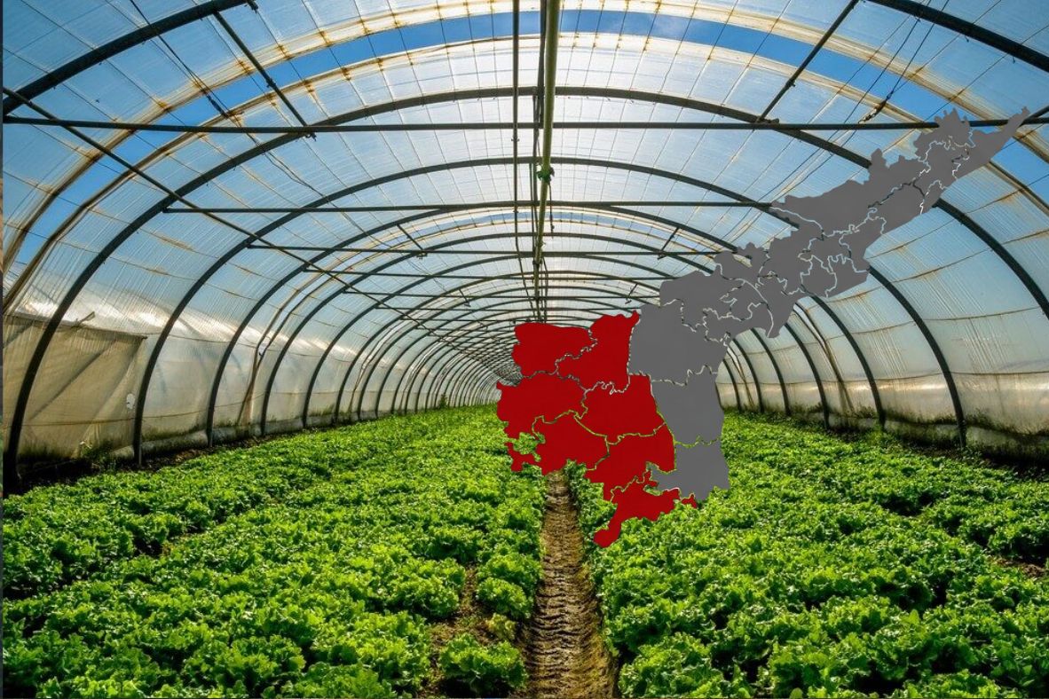 Rayalaseema horticulture hub investment AP government