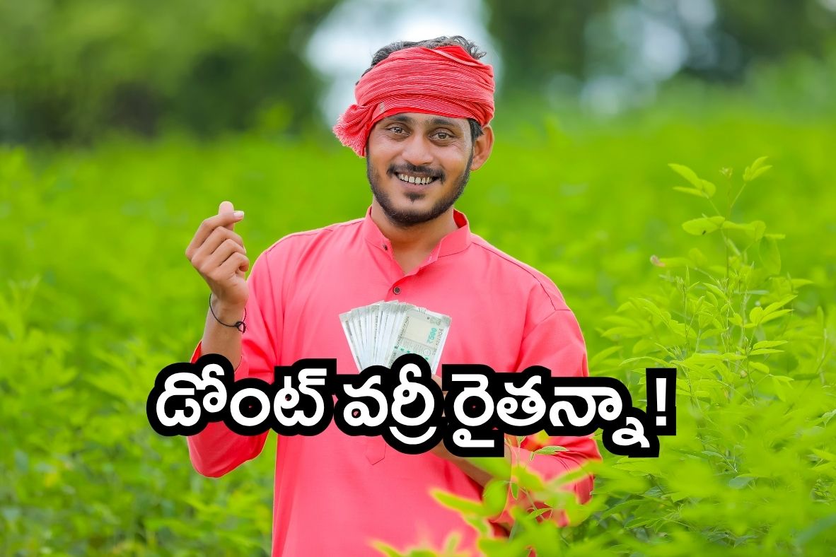 MSP increase rabi crops farmers benefit India agriculture