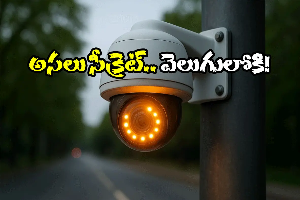 Delhi News (image credit:canva)