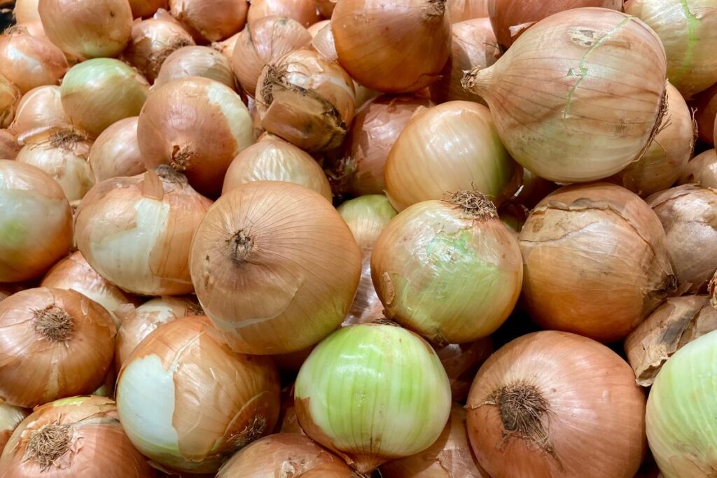 Khammam theft onion dal cylinder robbery strange incident Telangana