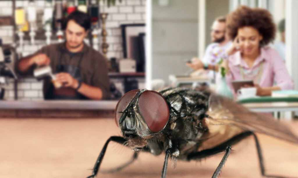 home-tips