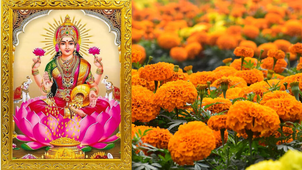 laxmi-godess