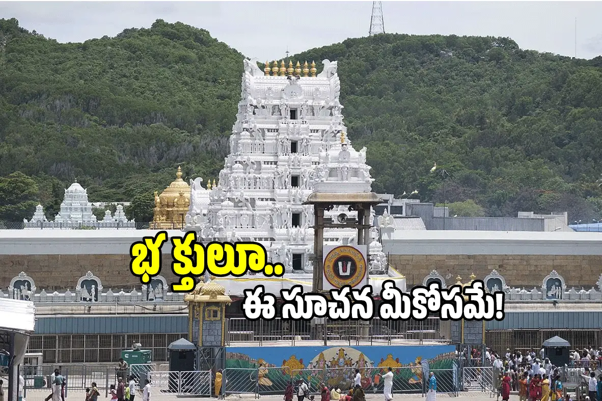 TTD (image credit:TTD)