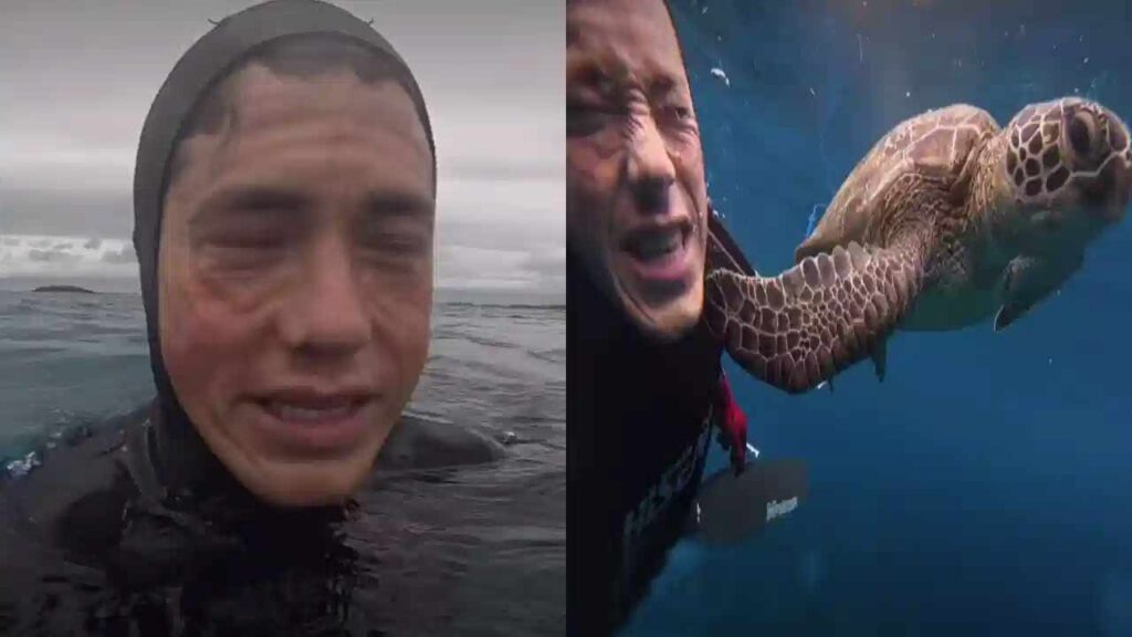 Turtle-Viral-Video-1